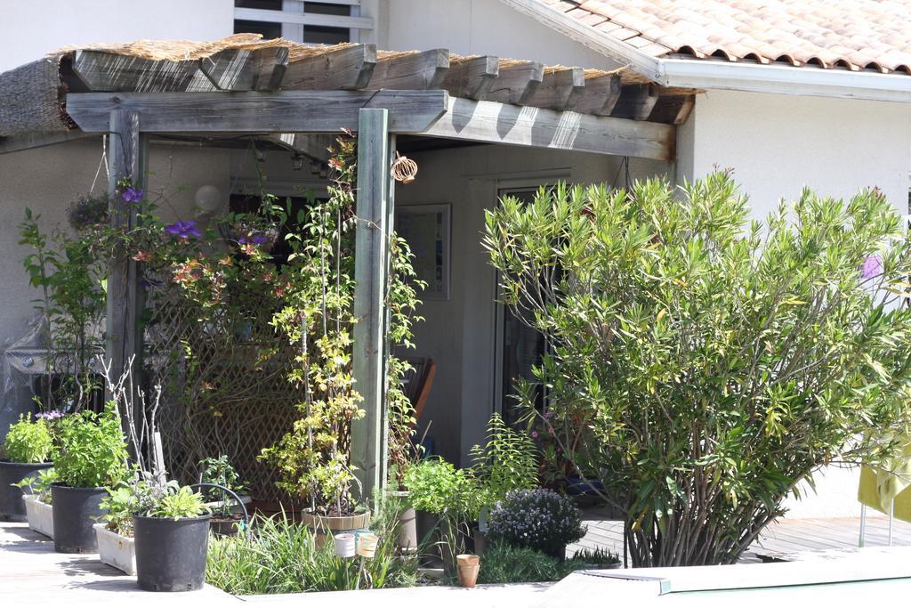 Hotel Calme Et Nature, Ba Gujan-Mestras Zimmer foto